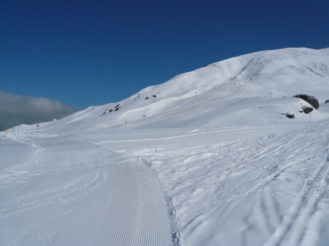 20080401_012.jpg