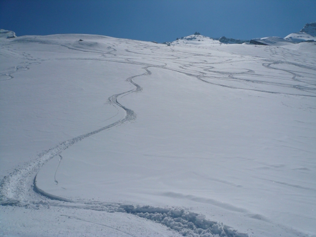 20080401_016.jpg
