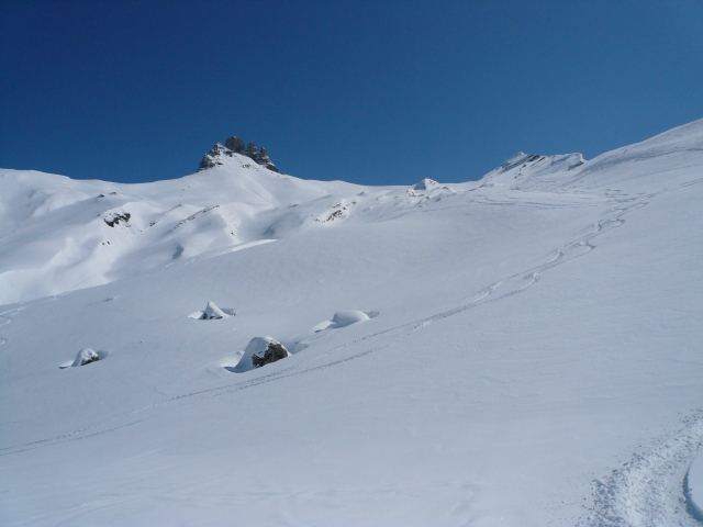 20080401_017.jpg